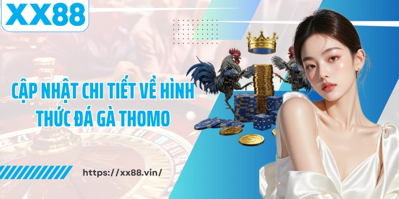 Cập nhật chi tiết về hình thức đá gà Thomo